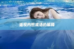 返视内照成语的解释