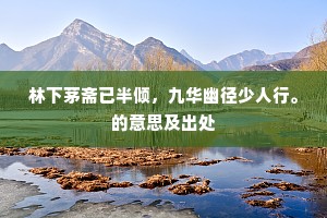 林下茅斋已半倾，九华幽径少人行。的意思及出处