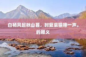 白杨风起秋山暮，时复哀猿啼一声。的释义