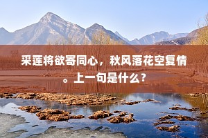 采莲将欲寄同心，秋风落花空复情。上一句是什么？