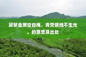寂寥金屏空自掩，青荧银烛不生光。的意思及出处