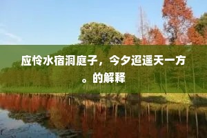 应怜水宿洞庭子，今夕迢遥天一方。的解释