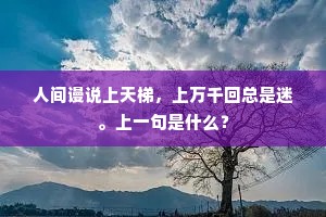 人间谩说上天梯，上万千回总是迷。上一句是什么？