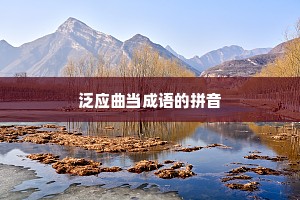 泛应曲当成语的拼音