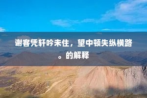 谢客凭轩吟未住，望中顿失纵横路。的解释
