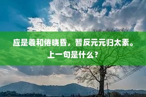 应是羲和倦晓昏，暂反元元归太素。上一句是什么？