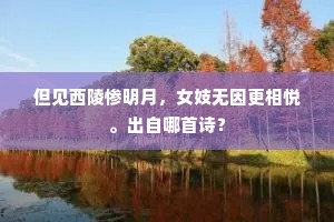 但见西陵惨明月，女妓无因更相悦。出自哪首诗？