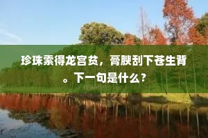 珍珠索得龙宫贫，膏腴刮下苍生背。下一句是什么？