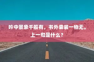 吟中景象千般有，书外囊装一物无。上一句是什么？