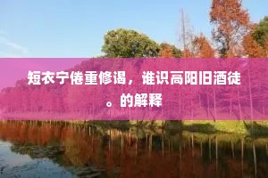 短衣宁倦重修谒，谁识高阳旧酒徒。的解释