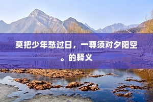 莫把少年愁过日，一尊须对夕阳空。的释义