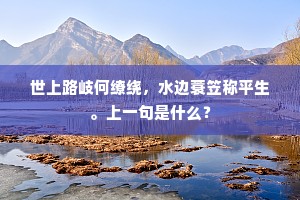 世上路岐何缭绕，水边蓑笠称平生。上一句是什么？