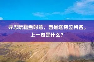 寻思阮籍当时意，岂是途穷泣利名。上一句是什么？