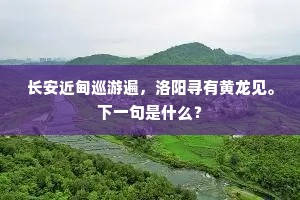 长安近甸巡游遍，洛阳寻有黄龙见。下一句是什么？