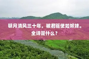 明月清风三十年，被君驱使如奴婢。全诗是什么？