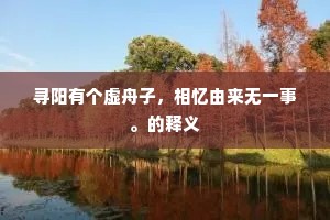 寻阳有个虚舟子，相忆由来无一事。的释义