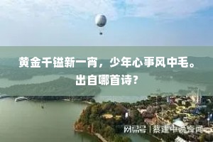 黄金千镒新一宵，少年心事风中毛。出自哪首诗？