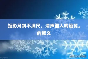 短影月斜不满尺，清声细入鸣蛩翼。的释义