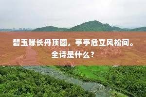 碧玉喙长丹顶圆，亭亭危立风松间。全诗是什么？
