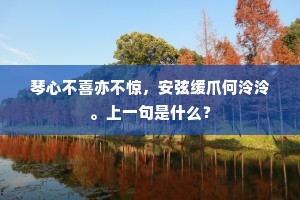 琴心不喜亦不惊，安弦缓爪何泠泠。上一句是什么？