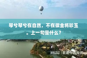 琴兮琴兮在自然，不在徽金将轸玉。上一句是什么？