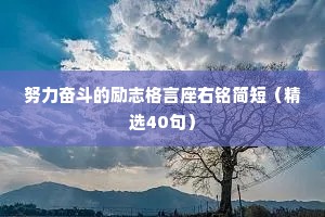 努力奋斗的励志格言座右铭简短（精选40句）