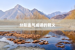 分形连气成语的释义