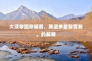 大须审固穿杨箭，莫遣参差鬓雪新。的解释