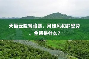 天衢云险驽骀蹇，月桂风和梦想劳。全诗是什么？