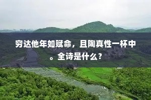 穷达他年如赋命，且陶真性一杯中。全诗是什么？