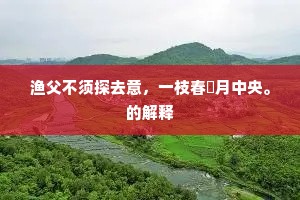 渔父不须探去意，一枝春褭月中央。的解释