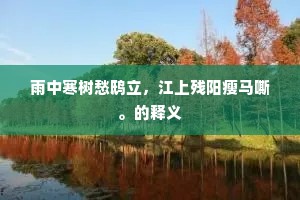 雨中寒树愁鸱立，江上残阳瘦马嘶。的释义
