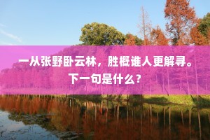 一从张野卧云林，胜概谁人更解寻。下一句是什么？