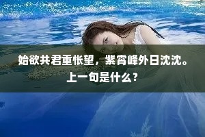 始欲共君重怅望，紫霄峰外日沈沈。上一句是什么？