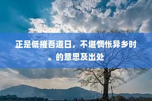 正是低摧吾道日，不堪惆怅异乡时。的意思及出处