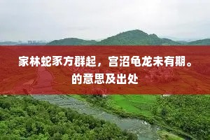 家林蛇豕方群起，宫沼龟龙未有期。的意思及出处