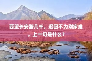西望长安路几千，迟回不为别家难。上一句是什么？