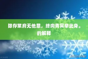 除存紫府无他意，终向青冥举此身。的解释