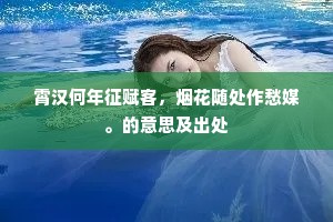 霄汉何年征赋客，烟花随处作愁媒。的意思及出处