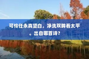 可怜任永真坚白，净洗双眸看太平。出自哪首诗？