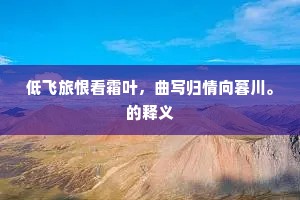 低飞旅恨看霜叶，曲写归情向暮川。的释义