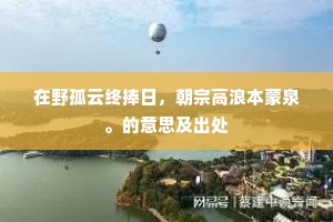 在野孤云终捧日，朝宗高浪本蒙泉。的意思及出处