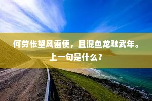 何劳怅望风雷便，且混鱼龙黩武年。上一句是什么？