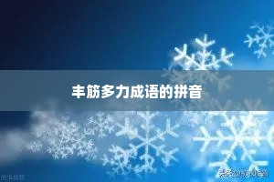 丰筋多力成语的拼音