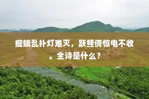 痴蛾乱扑灯难灭，跃鲤傍惊电不收。全诗是什么？