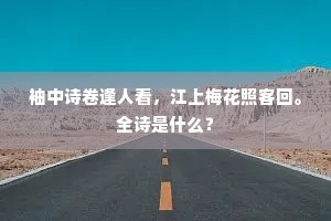 袖中诗卷逢人看，江上梅花照客回。全诗是什么？