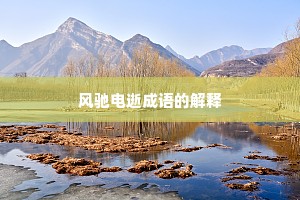 风驰电逝成语的解释