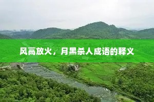 风高放火，月黑杀人成语的释义