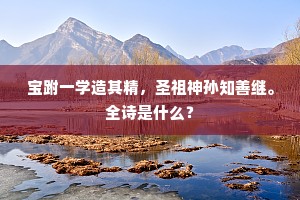 宝跗一学造其精，圣祖神孙知善继。全诗是什么？