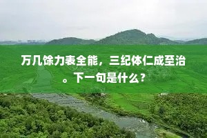 万几馀力表全能，三纪体仁成至治。下一句是什么？